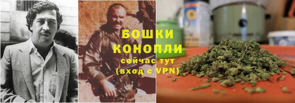 PSILOCYBIN Гусиноозёрск
