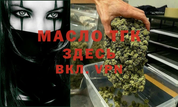 индика Горняк