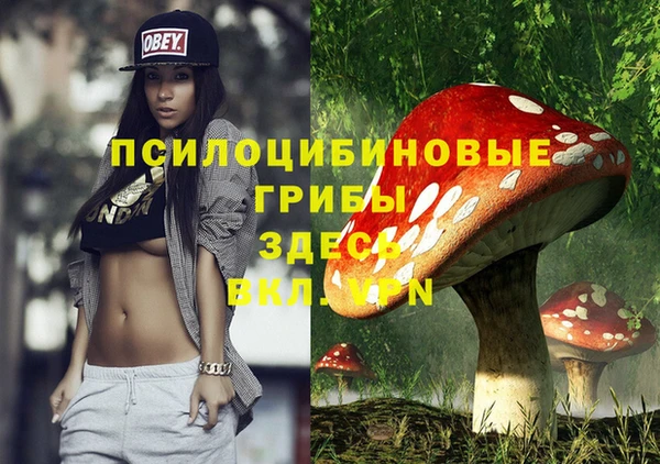 твердый Гусев