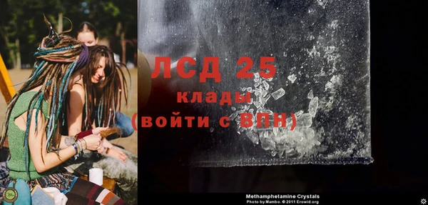 индика Горняк
