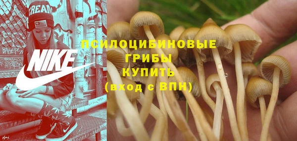 индика Горняк
