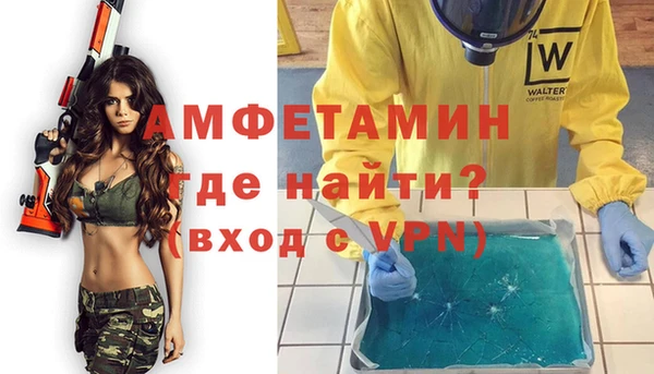 индика Горняк