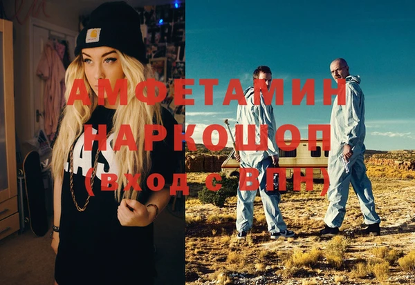 индика Горняк