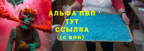 индика Горняк