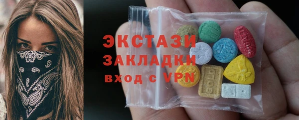 индика Горняк