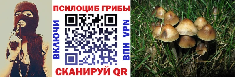 дарнет шоп Демидов Псилоцибиновые грибы ЛСД