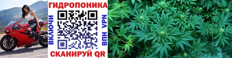 OMG вход  Демидов  Марихуана семена  наркошоп 